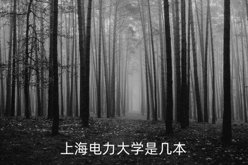 2020年上海市一流本科，上海的大學(xué)一流二流的分別是哪些我想知道下方便我選擇學(xué)校專(zhuān)升
