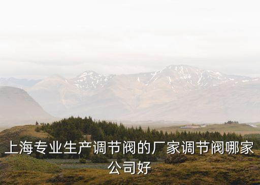 上海專業(yè)生產(chǎn)調(diào)節(jié)閥的廠家調(diào)節(jié)閥哪家公司好
