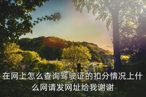 在網上怎么查詢駕駛證的扣分情況上什么網請發網址給我謝謝