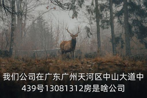 我們公司在廣東廣州天河區中山大道中439號13081312房是啥公司