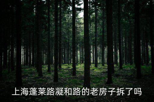 上海蓬萊路凝和路的老房子拆了嗎