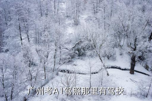 廣州考a照，廣東本省人可以在廣州考a牌駕駛證嗎