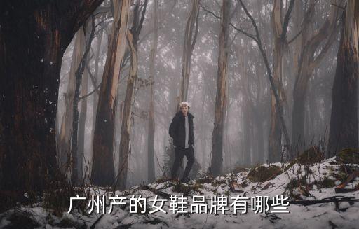 廣州大都市女鞋品牌，廣州產的女鞋品牌有哪些