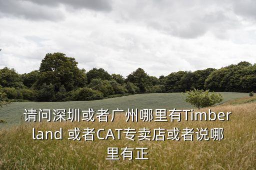 請問深圳或者廣州哪里有Timberland 或者CAT專賣店或者說哪里有正