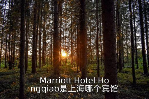 上海市浦東新區(qū)康橋萬豪酒店，Marriott Hotel Hongqiao是上海哪個賓館