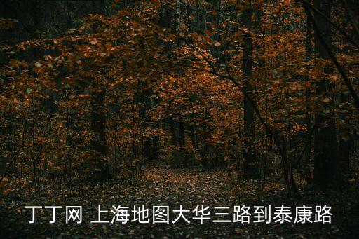 丁丁網 上海地圖大華三路到泰康路