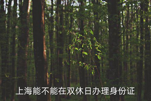 上海能不能在雙休日辦理身份證