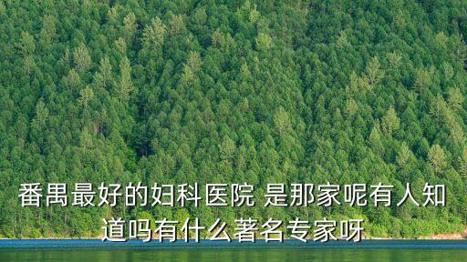 廣州軍區戰士報唐安華，番禺最好的婦科醫院 是那家呢有人知道嗎有什么著名專家呀