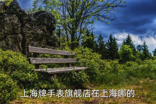 上海牌手表旗艦店在上海哪的