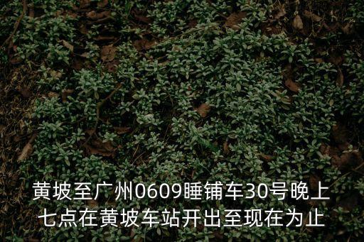 廣州大巴19人死亡司機(jī)，黃坡至廣州0609睡鋪車30號(hào)晚上七點(diǎn)在黃坡車站開出至現(xiàn)在為止