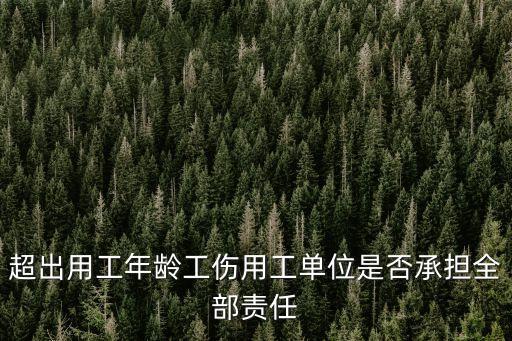 超出用工年齡工傷用工單位是否承擔全部責任