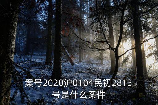 上海市兆豐花園墜樓事件，上海倒塌樓盤事件原因有沒有找到啊是什么啊