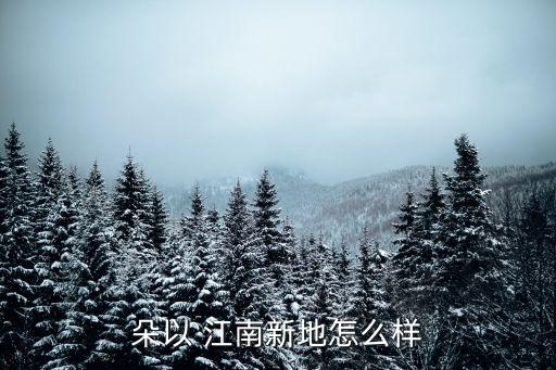 朵以 江南新地怎么樣