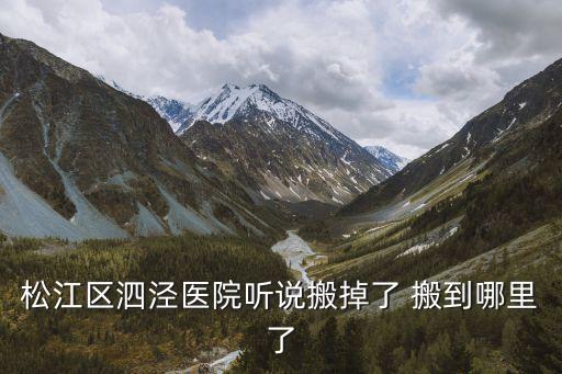 松江區泗涇醫院聽說搬掉了 搬到哪里了