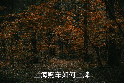 上海購車如何上牌