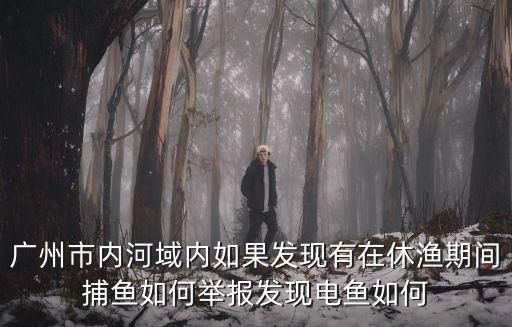 廣州市內(nèi)河域內(nèi)如果發(fā)現(xiàn)有在休漁期間捕魚如何舉報發(fā)現(xiàn)電魚如何