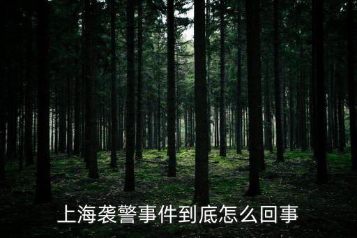 上海市最嚴重襲警，上海襲警那件事是否該制定相關法律