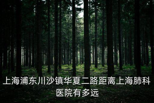 川沙到上海市肺科醫(yī)院，到上海肺料醫(yī)院怎么坐車(chē)