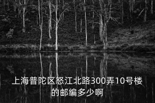 上海普陀區(qū)怒江北路300弄10號樓的郵編多少啊