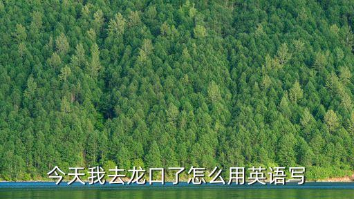 今天我去龍口了怎么用英語寫