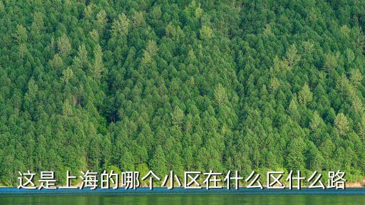 這是上海的哪個小區在什么區什么路