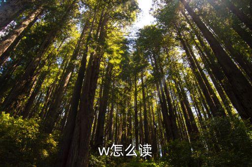 w怎么讀