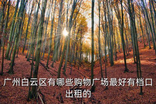 廣州白云新城商鋪，廣州白云區有哪些購物廣場最好有檔口出租的