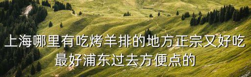 上海市羊肉串，上海那里賣炸的羊肉串