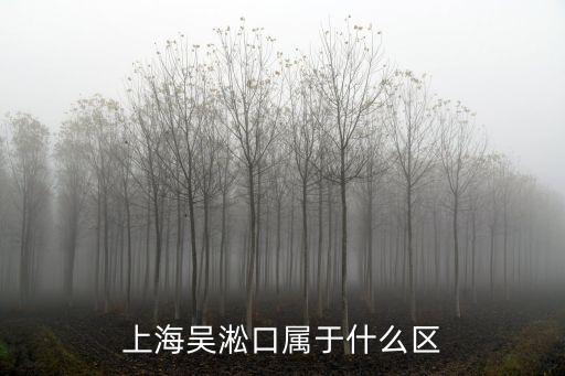 上海吳淞口屬于什么區(qū)
