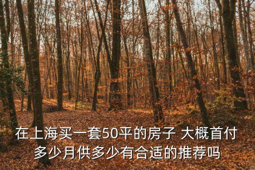上海市區一套50平房子，在上海買一套五十平米的房子大概多少錢