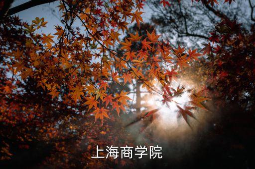 上海商學院上海市商務委，上海商學院