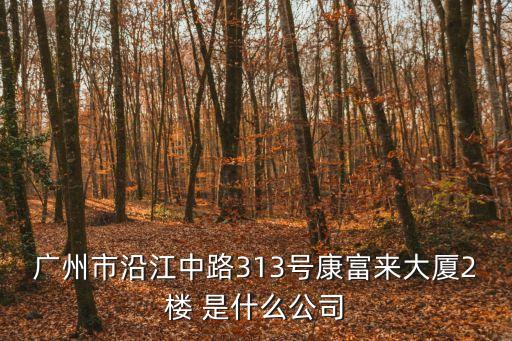 廣州市沿江中路313號康富來大廈2樓 是什么公司