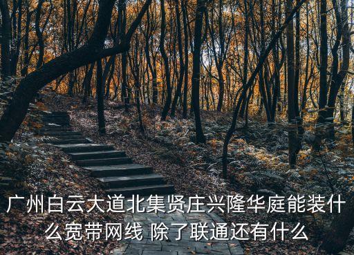 廣州白云大道北集賢莊興隆華庭能裝什么寬帶網(wǎng)線 除了聯(lián)通還有什么
