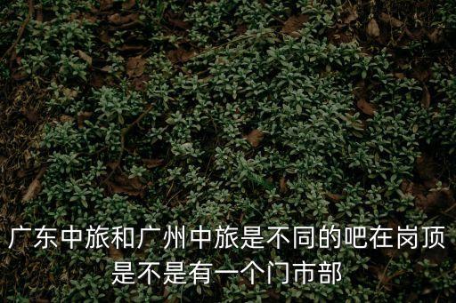 廣東中旅和廣州中旅是不同的吧在崗頂是不是有一個門市部