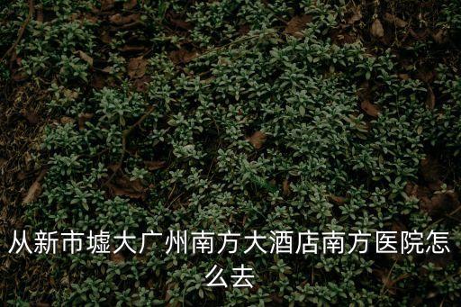 從新市墟大廣州南方大酒店南方醫院怎么去