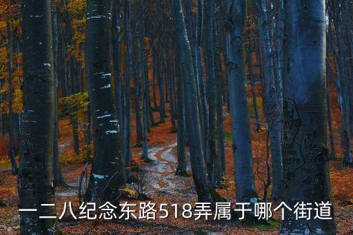 一二八紀(jì)念東路518弄屬于哪個(gè)街道