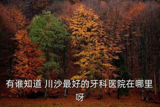 有誰知道 川沙最好的牙科醫院在哪里呀