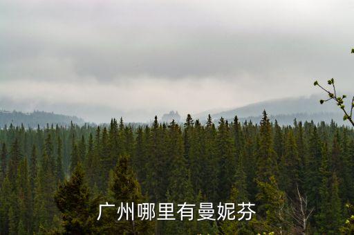 廣州哪里有曼妮芬