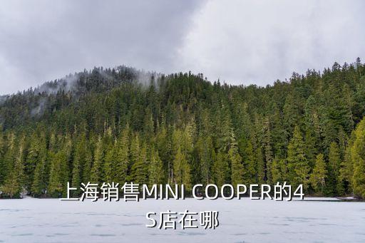 上海銷售MINI COOPER的4S店在哪