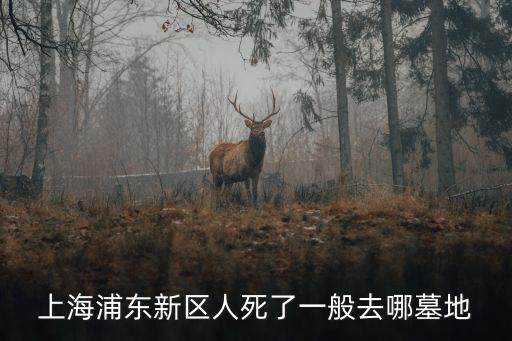 上海浦東新區(qū)人死了一般去哪墓地