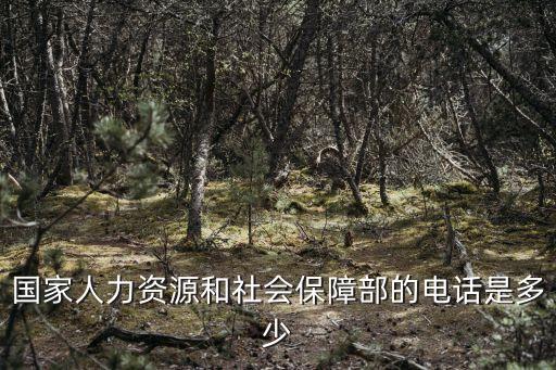國家人力資源和社會保障部的電話是多少