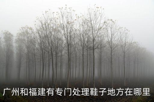 廣州和福建有專門處理鞋子地方在哪里