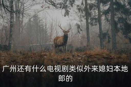 廣州還有什么電視劇類似外來媳婦本地郎的
