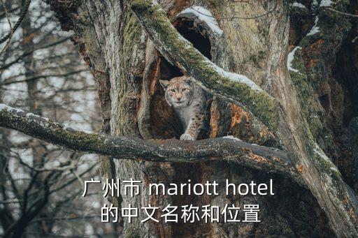 廣州市 mariott hotel 的中文名稱和位置