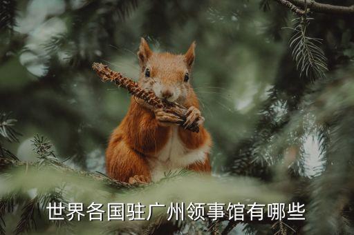 丹麥廣州領事館 旅館，你好廣州火車東站到丹麥領事館怎么坐公交或者怎么去