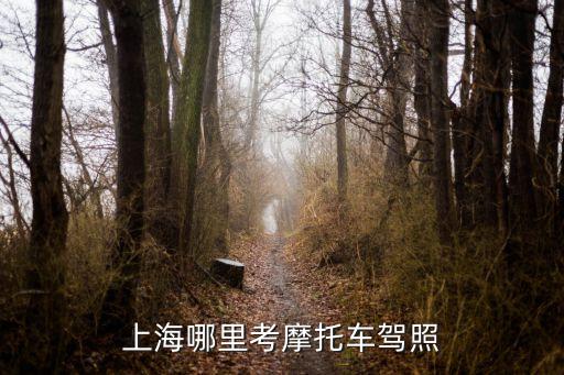 上海市駕照考試咨詢，上海考駕照