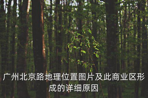 廣州北京路站地圖，請問廣州北京路和上下九具體在哪吖