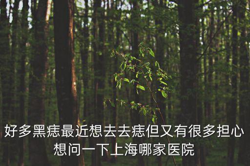 好多黑痣最近想去去痣但又有很多擔心想問一下上海哪家醫院