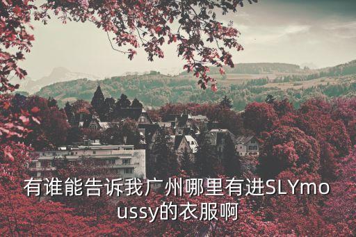 有誰能告訴我廣州哪里有進(jìn)SLYmoussy的衣服啊