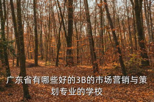 廣東省有哪些好的3B的市場營銷與策劃專業的學校